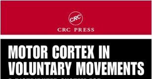 Motor Cortex in Voluntary Movements A Distributed System for Distributed Functions 1st Edition PDF