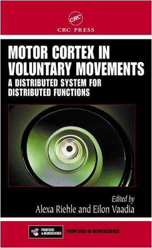 Motor Cortex in Voluntary Movements A Distributed System for Distributed Functions 1st Edition PDF