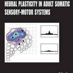 Neural plasticity in adult somatic sensory-motor system 1st Edition PDF