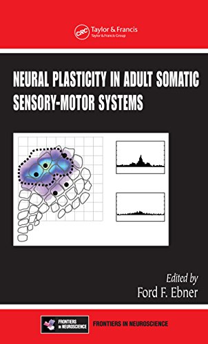 Neural plasticity in adult somatic sensory-motor system 1st Edition PDF