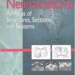 Neuroanatomy - Atlas of Structures Sections Systems 6th Edition PDF