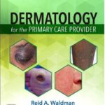 Dermatology for the Primary Care Provider 1st Edition PDF