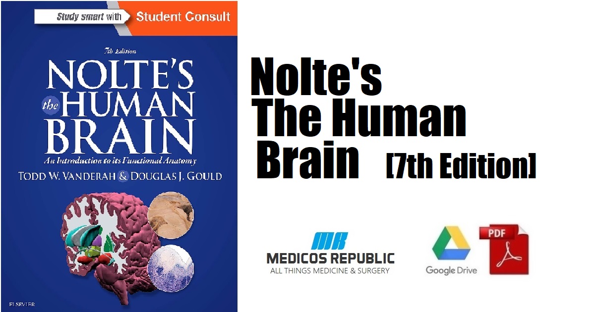 Nolte's The Human Brain 7th Edition PDF