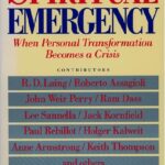 Spiritual Emergency: When Personal Transformation Becomes a Crisis PDF