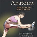 Stretching Anatomy PDF