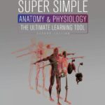 Super Simple Anatomy and Physiology PDF