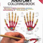 The Anatomy Coloring Book 2nd Edition PDF
