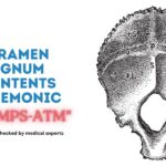 Foramen Magnum Contents Mnemonic VAMPS-ATM