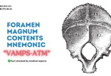 Foramen Magnum Contents Mnemonic VAMPS-ATM