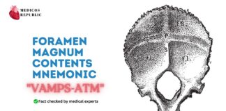 Foramen Magnum Contents Mnemonic VAMPS-ATM