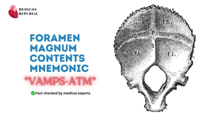 Foramen Magnum Contents Mnemonic VAMPS-ATM