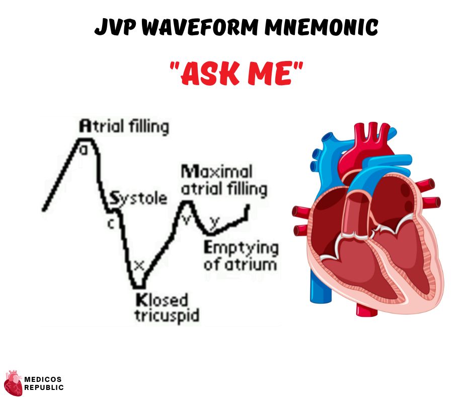 JVP Waveform Mnemonic