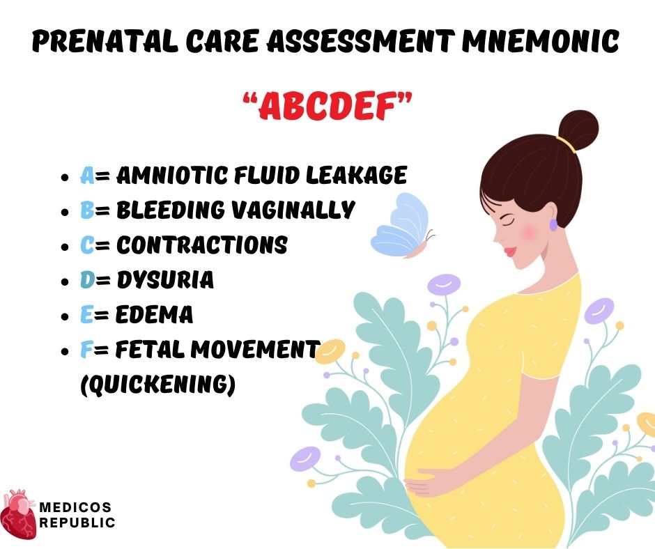 Prenatal Care Assessment Mnemonic