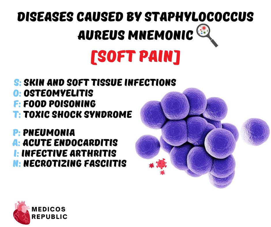 Diseases Caused by Staphylococcus Aureus Mnemonic