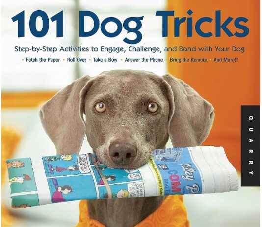 101 Dog Tricks PDF