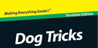 Dog Tricks For Dummies PDF