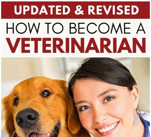 How to Become a Veterinarian PDF