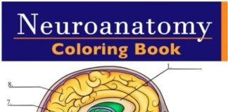 Neuroanatomy Coloring Book PDF