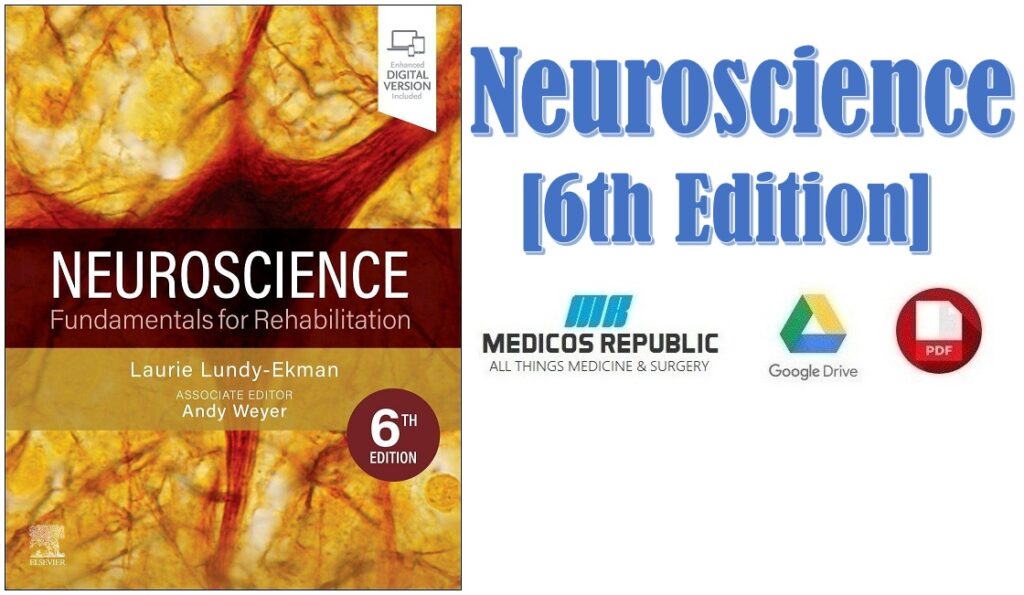 Neuroscience 6th Edition PDF