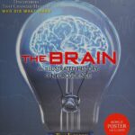The Brain An Illustrated History of Neuroscience PDF
