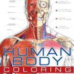 The Human Body Coloring Book PDF