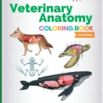 Veterinary Anatomy Coloring Book PDF