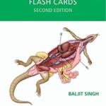 Veterinary Anatomy Flash Cards 2nd Edition PDF