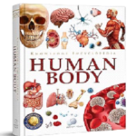 Knowledge Encyclopedia: Human Body (Knowledge Encyclopedia For Children) PDF