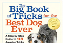 The Big Book of Tricks for the Best Dog Ever: A Step-by-Step Guide to 118 Amazing Tricks & Stunts PDF