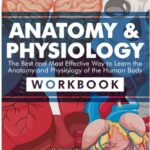 Anatomy & Physiology Workbook PDF