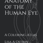 Anatomy of the Human Eye A Coloring Atlas PDF