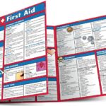 First Aid (Quick Study Health) PDF