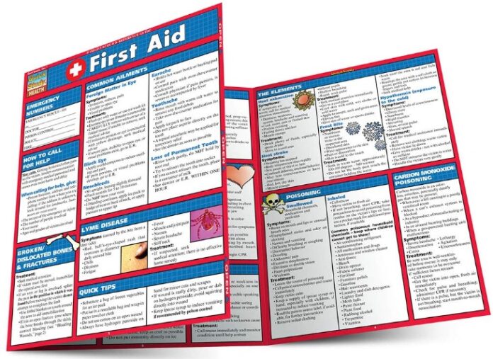 First Aid (Quick Study Health) PDF