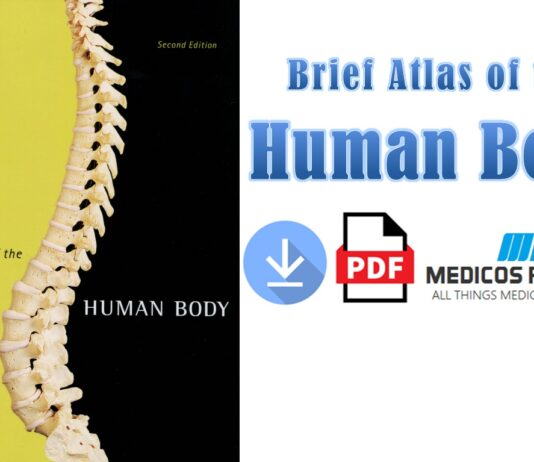 Brief Atlas of the Human Body PDF