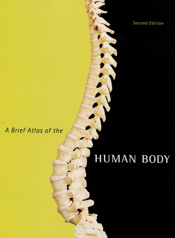 Brief Atlas of the Human Body PDF 
