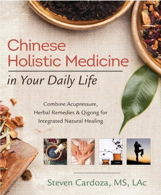 Chinese Holistic Medicine in Your Daily Life PDF