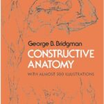 Constructive Anatomy Includes Nearly 500 Illustrations PDF