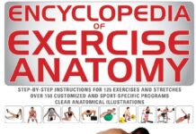 Encyclopedia of Exercise Anatomy PDF
