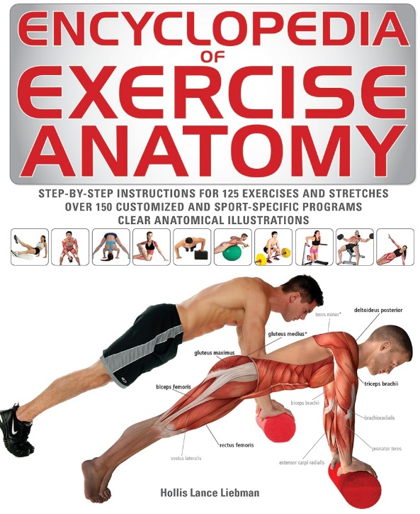 Encyclopedia of Exercise Anatomy PDF