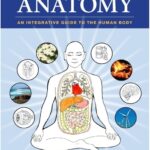 Holistic Anatomy An Integrative Guide to the Human Body PDF