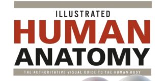 Illustrated Human Anatomy PDF