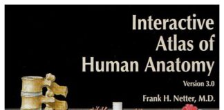 Interactive Atlas of Human Anatomy 3rd Edition PDF