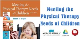 Meeting the Physical Therapy Needs of Children PDF