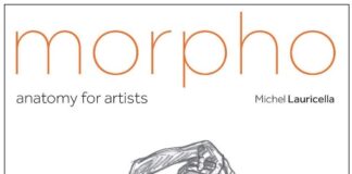 Morpho: Anatomy for Artists PDF