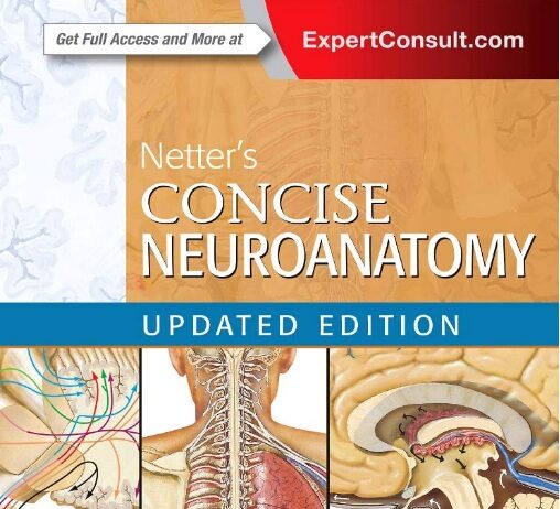 Netter's Concise Neuroanatomy PDF