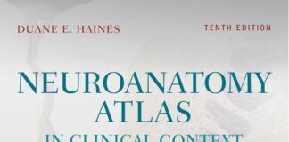 Neuroanatomy Atlas in Clinical Context PDF