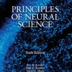 Principles of Neural Science 6th Edition PDF