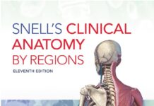 Snell's Clinical Anatomy by Regions 11th Edition PDF