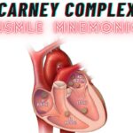 Carney Complex Mnemonic - "MY PEACH PAL"