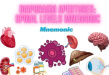 Diaphragm apertures Spinal levels Mnemonic
